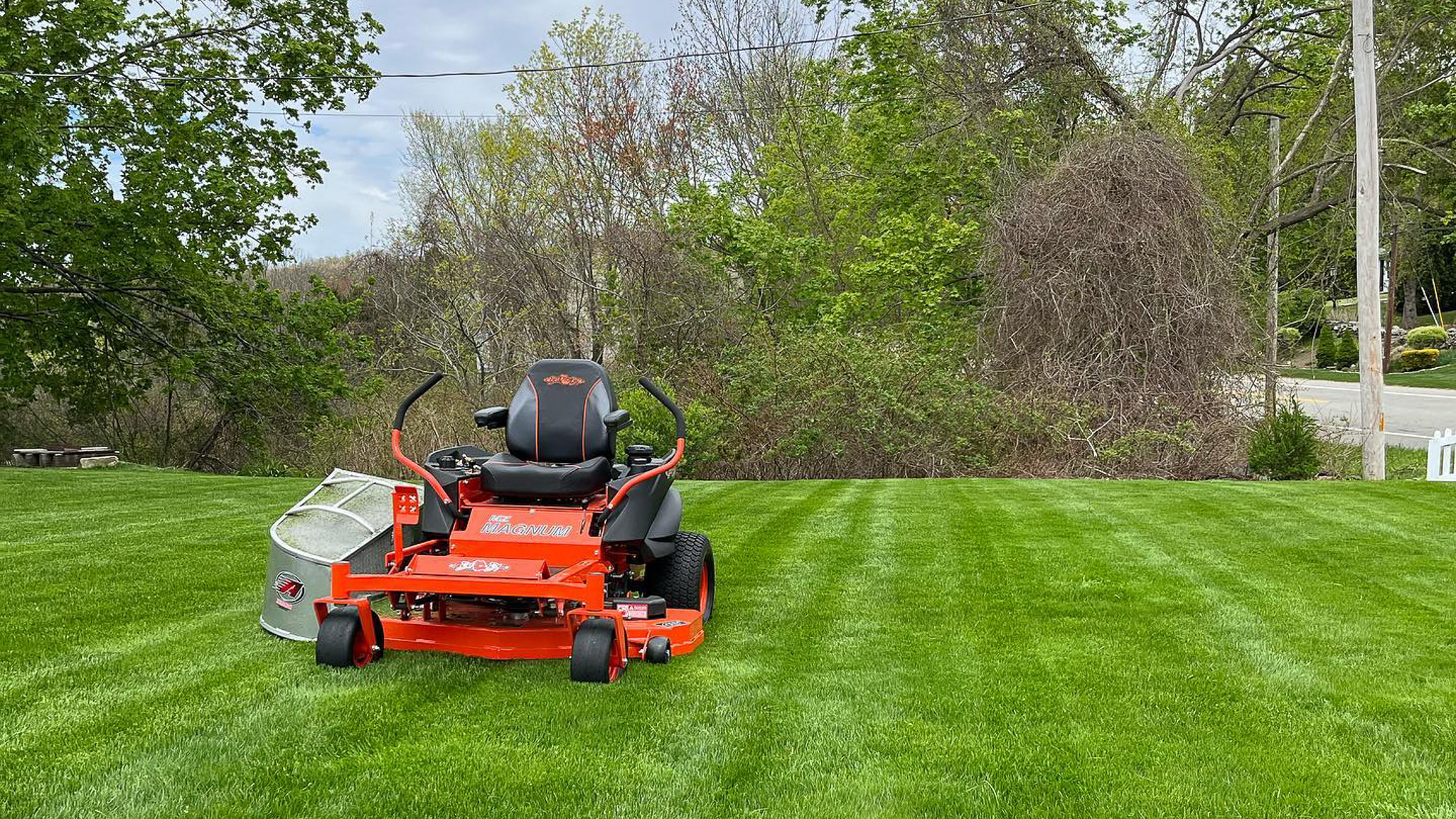 Lawn Care