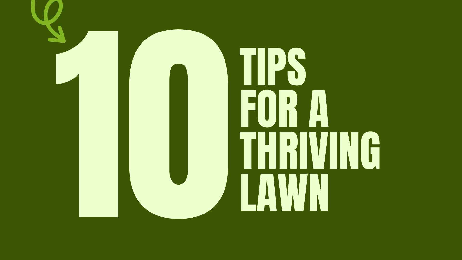 10 Tips for a Thriving Lawn
