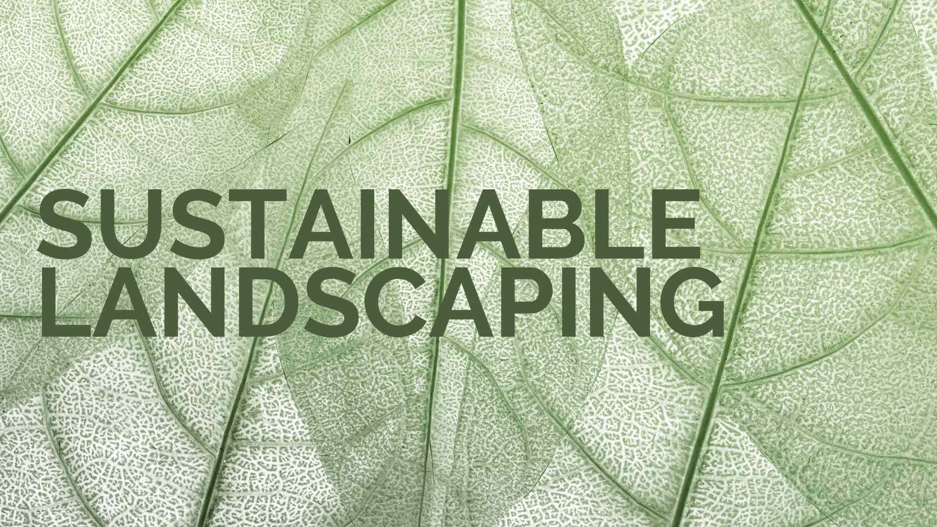 Sustainability in Landscaping